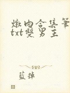 炖肉合集笔趣阁txt双男主