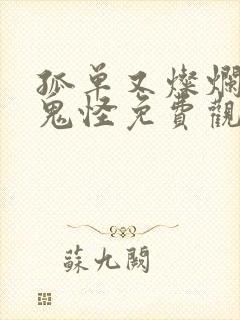 孤单又灿烂的神鬼怪免费观看国语版封面