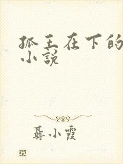 孤王在下的原著小说