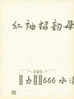 红袖招韵母攻略封面