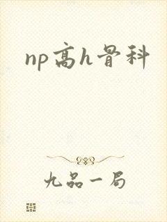 np高h骨科