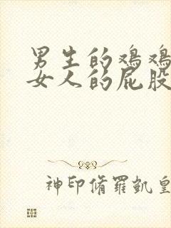 男生的鸡鸡插入女人的屁股里