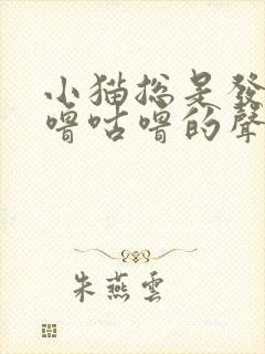 小猫总是发出咕噜咕噜的声音封面