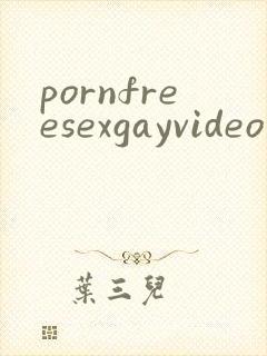 pornfreesexgayvideo