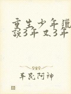 重生少年猎美小说3年又3年免费阅读