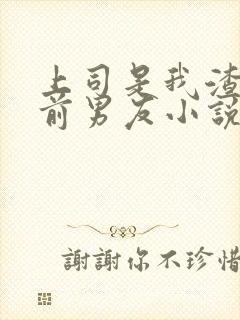 上司是我渣过的前男友小说免费阅读