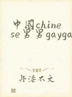 中国chinese男男gaygayvideo