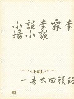 小说李霖李澜官场小说