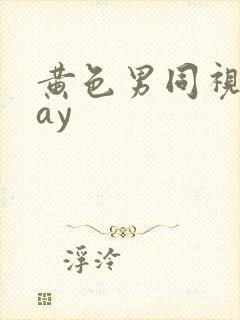黄色男同视频gay封面