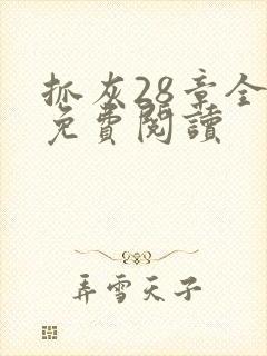 抓灰28章全部免费阅读