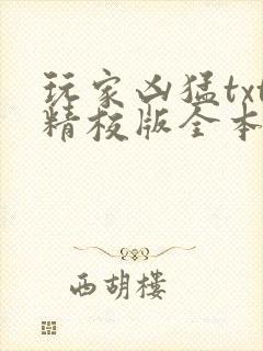 玩家凶猛txt精校版全本下载