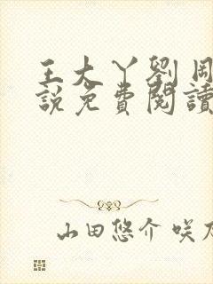 王大丫刘 刚小说免费阅读封面