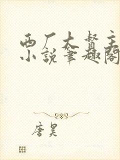 西厂大督主李易小说笔趣阁