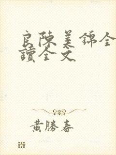 良陈美锦全文阅读全文