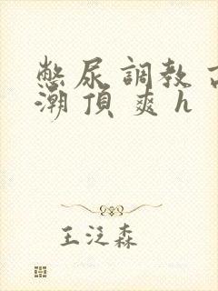 憋尿 调教 高潮 顶 爽 h