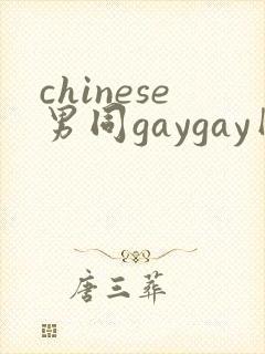 chinese男同gaygay网站
