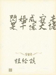 闪婚成宠老公竟是千亿大佬小说