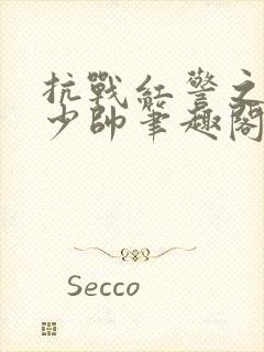 抗战红警之铁血少帅笔趣阁