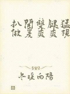 扒开双腿猛进入做爰爽爽视频