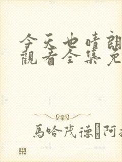 今天也晴朗在线观看全集免费播放