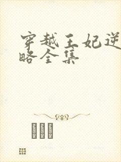 穿越王妃逆袭攻略全集