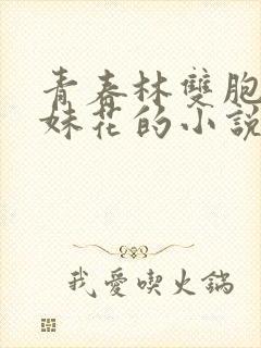 青春林双胞胎姐妹花的小说免费阅读封面