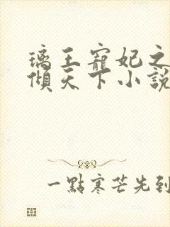 璃王宠妃之绝色倾天下小说封面