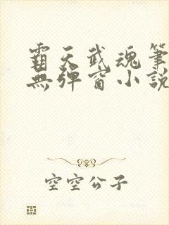 霸天武魂笔趣阁无弹窗小说