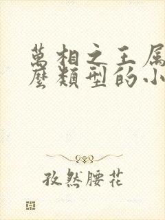 万相之王属于什么类型的小说