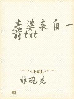 老婆来自一千年前txt