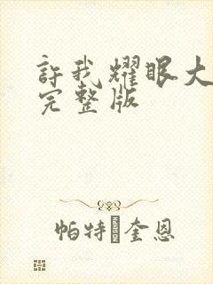 许我耀眼大结局完整版