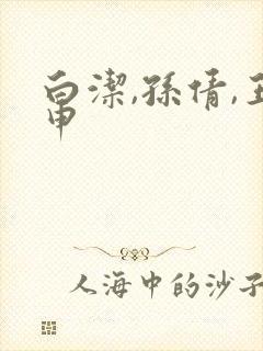 白洁,孙倩,王申