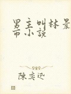 男主叫林晨的都市小说