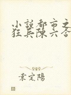 小说都市之最强狂兵陈六合封面