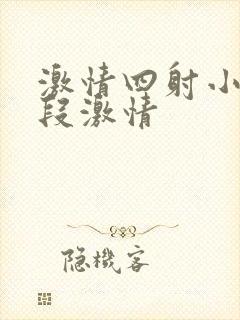 激情四射小说片段激情封面