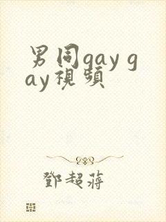 男同gay gay视频