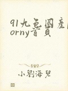 91九色国产porny首页