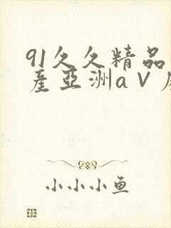 91久久精品国产亚洲a∨麻豆