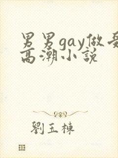 男男gay做受高潮小说封面