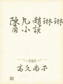 陈凡赵琳琳的主角小说