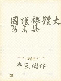 国模裸体大尺度写真集