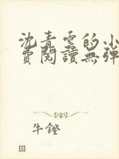 沈青云的小说免费阅读无弹窗