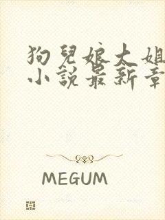 狗儿娘大姐二姐小说最新章节