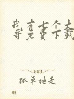 我有七个大佬哥哥免费下载封面