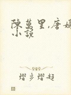 陈万里,唐嫣然小说