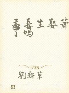 孟长生娶萧初然了吗封面