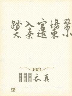 踏入官场医道问天秦远东小说