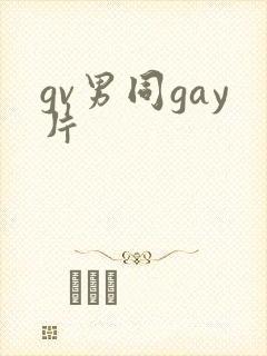 gv男同gay片