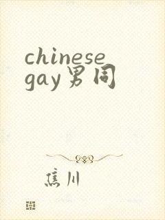 chinesegay男同封面