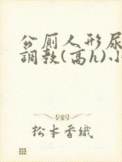 公厕人形尿便器调教(高h)小说封面